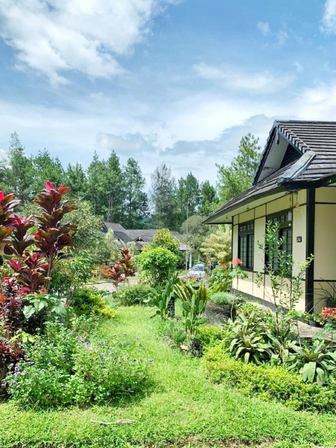 Designer Villa Osaka Пунсак Екстериор снимка
