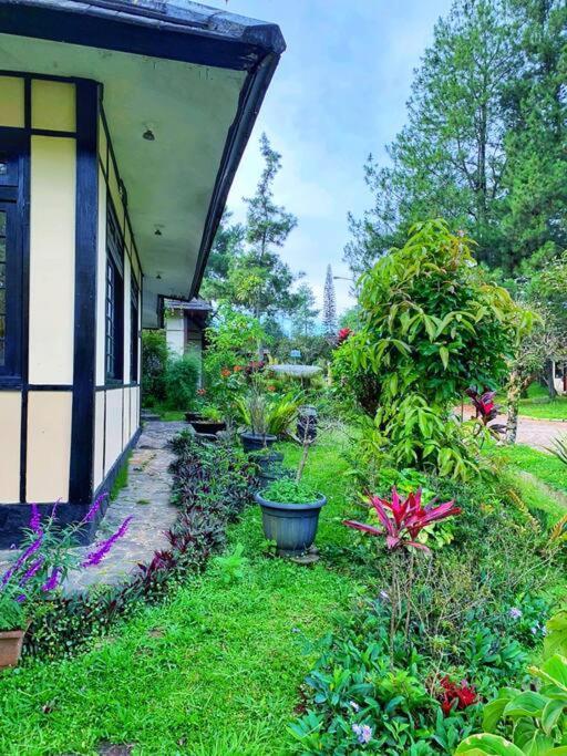 Designer Villa Osaka Пунсак Екстериор снимка