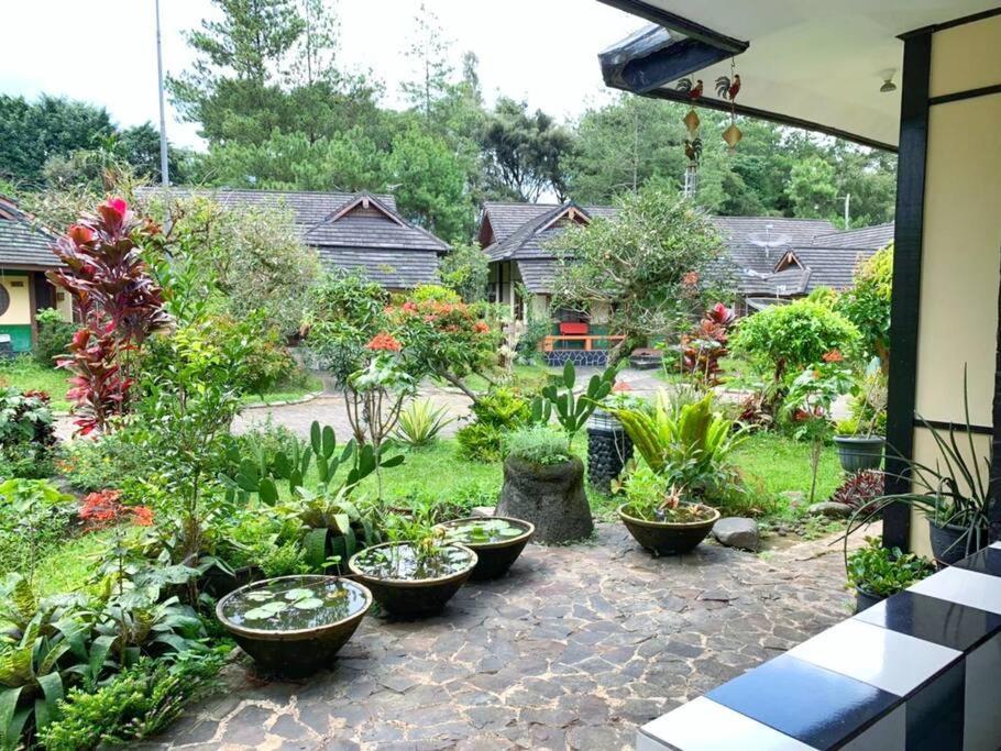 Designer Villa Osaka Пунсак Екстериор снимка