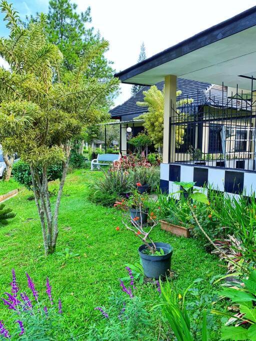 Designer Villa Osaka Пунсак Екстериор снимка